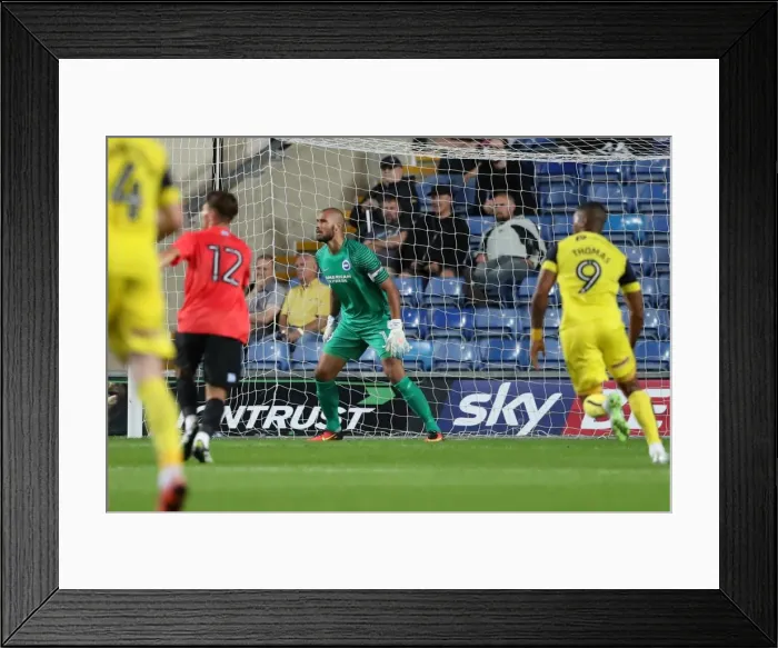Framed Print : Pre-season Championship Clash: Oxford United vs. Brighton & Hove Albion at Kassam Stadium (July 2016) Framed Print : Pre-season Championship Clash: Oxford United vs. Brighton & Hove Albion at Kassam Stadium (July 2016)