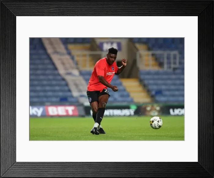 Framed Print : Pre-season Championship Clash: Oxford United vs. Brighton & Hove Albion at Kassam Stadium (July 2016) Framed Print : Pre-season Championship Clash: Oxford United vs. Brighton & Hove Albion at Kassam Stadium (July 2016)