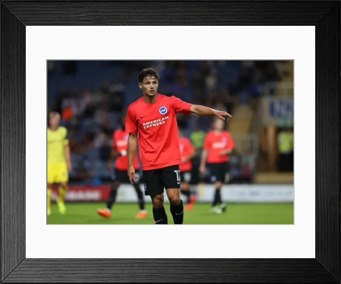 Framed Print : Pre-season Championship Clash: Oxford United vs. Brighton and Hove Albion at Kassam Stadium (July 2016) Framed Print : Pre-season Championship Clash: Oxford United vs. Brighton and Hove Albion at Kassam Stadium (July 2016)