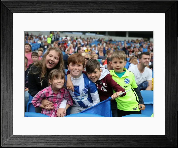 Framed Print : Young Seagulls in Action: Open Training Session at Brighton & Hove Albion FC (July 2016)