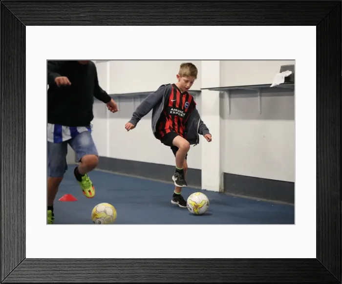 Framed Print : Young Seagulls: Brighton & Hove Albion FC Open Training Session (July 2016) Framed Print : Young Seagulls: Brighton & Hove Albion FC Open Training Session (July 2016)