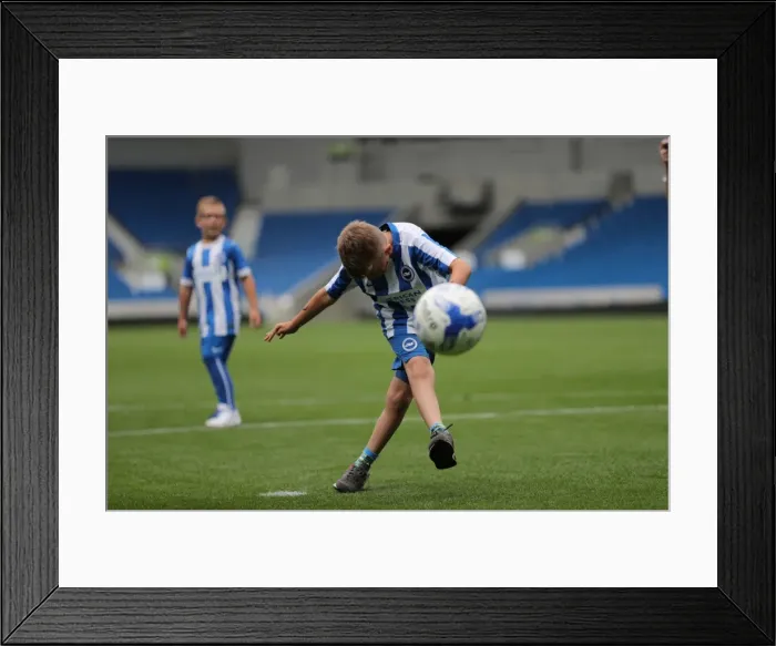 Framed Print : Young Seagulls in Action: Open Training Session at Brighton & Hove Albion FC (July 2016) Framed Print : Young Seagulls in Action: Open Training Session at Brighton & Hove Albion FC (July 2016)