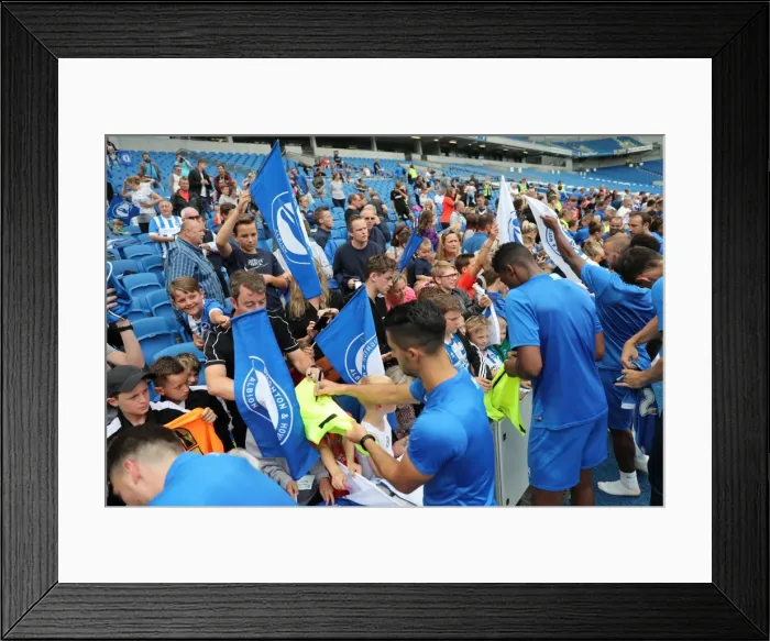 Framed Print : Young Seagulls in Action: Open Training Session at Brighton & Hove Albion FC (July 2016) Framed Print : Young Seagulls in Action: Open Training Session at Brighton & Hove Albion FC (July 2016)