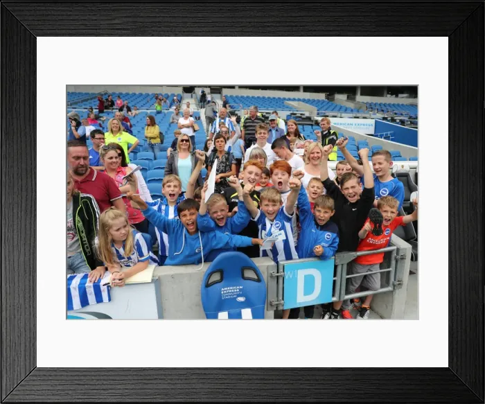 Framed Print : Young Seagulls in Action: Open Training Session at Brighton & Hove Albion FC (July 2016) Framed Print : Young Seagulls in Action: Open Training Session at Brighton & Hove Albion FC (July 2016)