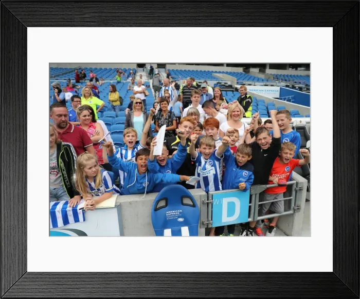 Framed Print : Young Seagulls in Action: Open Training Session at Brighton & Hove Albion FC (July 2016) Framed Print : Young Seagulls in Action: Open Training Session at Brighton & Hove Albion FC (July 2016)