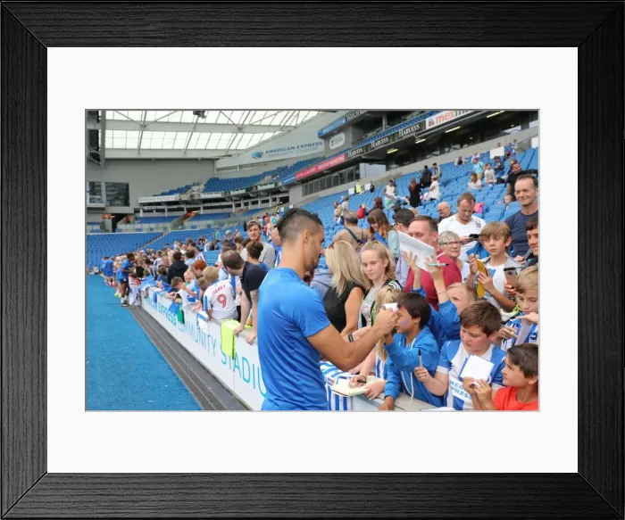 Framed Print : Young Seagulls in Action: Open Training Session at Brighton & Hove Albion FC (July 2016) Framed Print : Young Seagulls in Action: Open Training Session at Brighton & Hove Albion FC (July 2016)