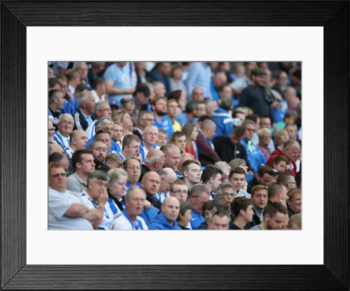 Framed Print : Brighton & Hove Albion vs Colchester United: EFL Cup Clash at American Express Community Stadium (09.08.16) Framed Print : Brighton & Hove Albion vs Colchester United: EFL Cup Clash at American Express Community Stadium (09.08.16)