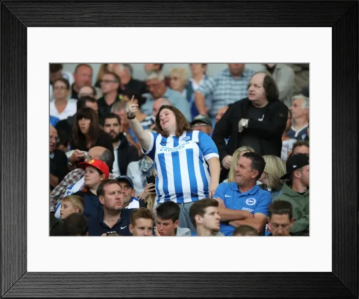 Framed Print : Brighton and Hove Albion vs Colchester United: EFL Cup Clash at American Express Community Stadium (09.08.16) Framed Print : Brighton and Hove Albion vs Colchester United: EFL Cup Clash at American Express Community Stadium (09.08.16)