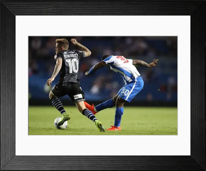 Framed Print : Brighton and Hove Albion vs Colchester United: EFL Cup Clash at American Express Community Stadium (09.08.16) Framed Print : Brighton and Hove Albion vs Colchester United: EFL Cup Clash at American Express Community Stadium (09.08.16)