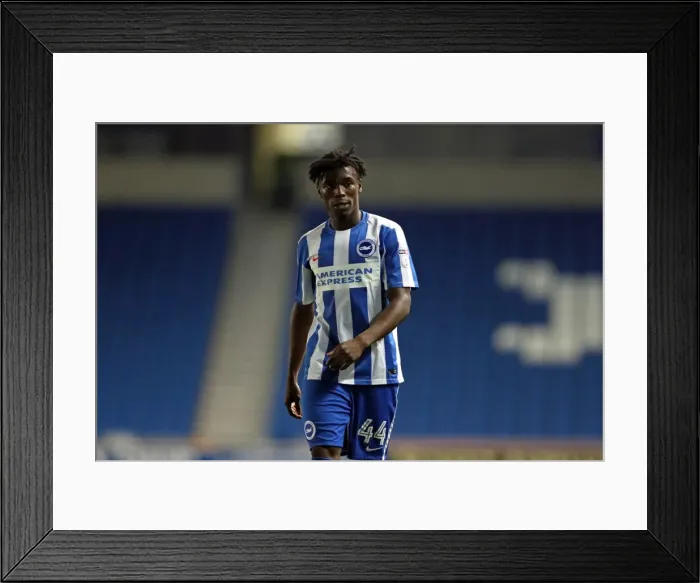 Framed Print : Brighton and Hove Albion vs Colchester United: EFL Cup Clash at American Express Community Stadium (09.08.16) Framed Print : Brighton and Hove Albion vs Colchester United: EFL Cup Clash at American Express Community Stadium (09.08.16)