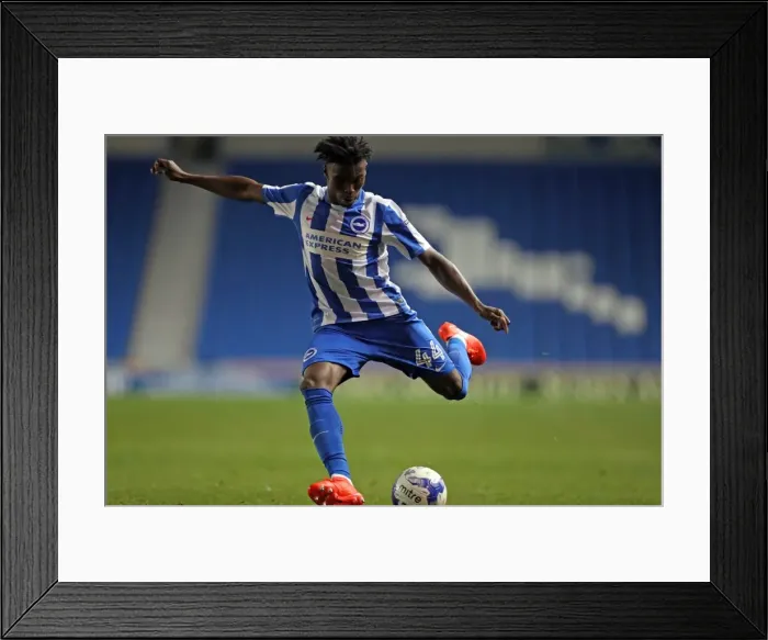 Framed Print : Brighton and Hove Albion vs Colchester United: EFL Cup Showdown at American Express Community Stadium (09.08.16) Framed Print : Brighton and Hove Albion vs Colchester United: EFL Cup Showdown at American Express Community Stadium (09.08.16)