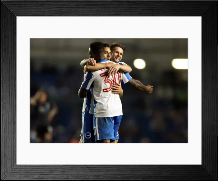 Framed Print : Brighton and Hove Albion vs Colchester United: EFL Cup Clash at American Express Community Stadium (09.08.16) Framed Print : Brighton and Hove Albion vs Colchester United: EFL Cup Clash at American Express Community Stadium (09.08.16)