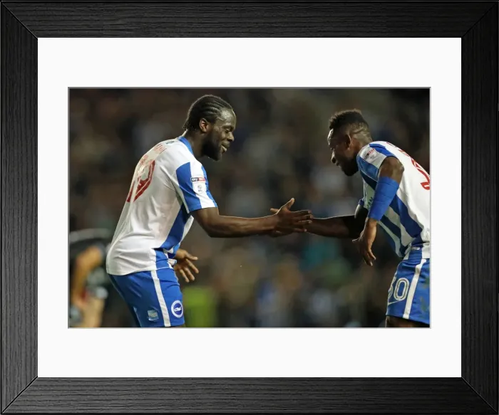 Framed Print : Brighton & Hove Albion vs Colchester United: EFL Cup Clash at American Express Community Stadium (09.08.16) Framed Print : Brighton & Hove Albion vs Colchester United: EFL Cup Clash at American Express Community Stadium (09.08.16)