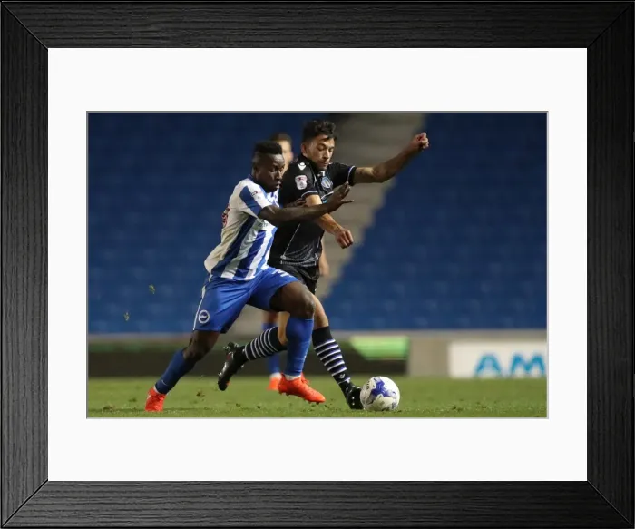 Framed Print : Brighton and Hove Albion vs Colchester United: EFL Cup Clash at American Express Community Stadium (09.08.16) Framed Print : Brighton and Hove Albion vs Colchester United: EFL Cup Clash at American Express Community Stadium (09.08.16)
