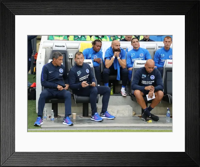 Framed Print : Brighton and Hove Albion vs Colchester United: EFL Cup Clash at American Express Community Stadium (09.08.16) Framed Print : Brighton and Hove Albion vs Colchester United: EFL Cup Clash at American Express Community Stadium (09.08.16)