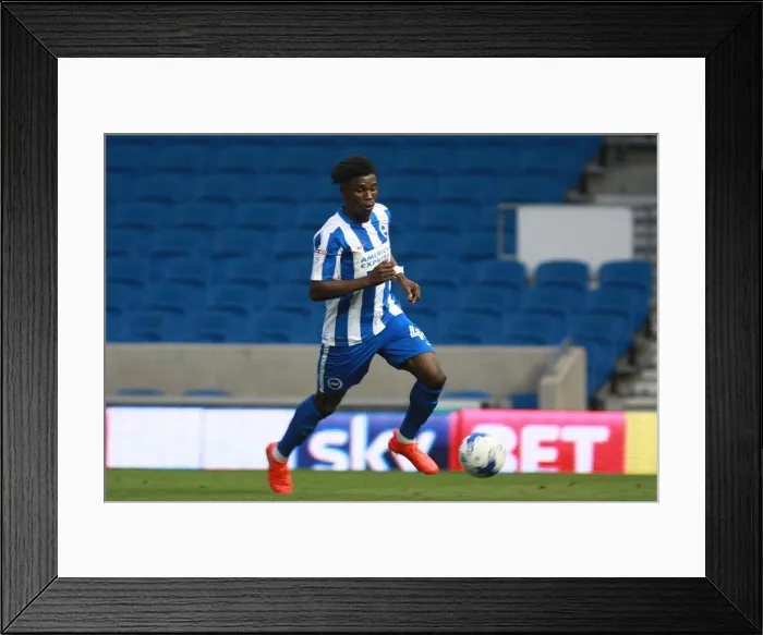 Framed Print : Brighton & Hove Albion's Sam Adekugbe in EFL Cup Action against Colchester United at American Express Community Stadium (09.08.16) Framed Print : Brighton & Hove Albion's Sam Adekugbe in EFL Cup Action against Colchester United at American Express Community Stadium (09.08.16)
