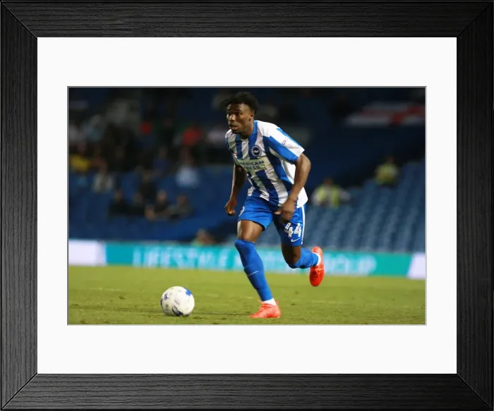 Framed Print : Brighton & Hove Albion's Sam Adekugbe in EFL Cup Action vs Colchester United (09AUG16) Framed Print : Brighton & Hove Albion's Sam Adekugbe in EFL Cup Action vs Colchester United (09AUG16)