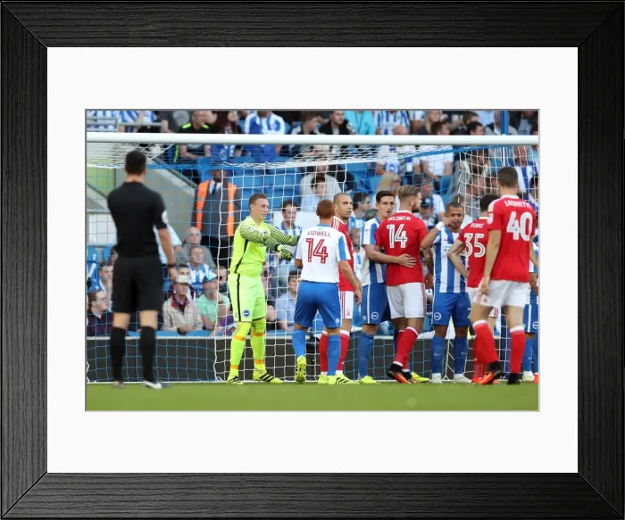 Framed Print : David Stockdale: Brighton & Hove Albion's Defensive Maestro vs. Nottingham Forest (August 12, 2016) Framed Print : David Stockdale: Brighton & Hove Albion's Defensive Maestro vs. Nottingham Forest (August 12, 2016)