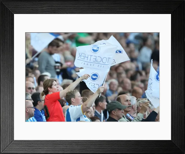 Framed Print : Passionate Brighton and Hove Albion Fans Wave Flags at American Express Community Stadium vs. Nottingham Forest (12Aug16) Framed Print : Passionate Brighton and Hove Albion Fans Wave Flags at American Express Community Stadium vs. Nottingham Forest (12Aug16)