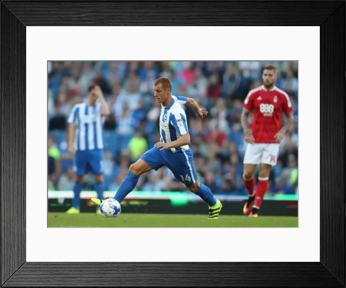 Framed Print : Steve Sidwell in Action: Brighton & Hove Albion vs. Nottingham Forest, EFL Sky Bet Championship, August 12, 2016 Framed Print : Steve Sidwell in Action: Brighton & Hove Albion vs. Nottingham Forest, EFL Sky Bet Championship, August 12, 2016