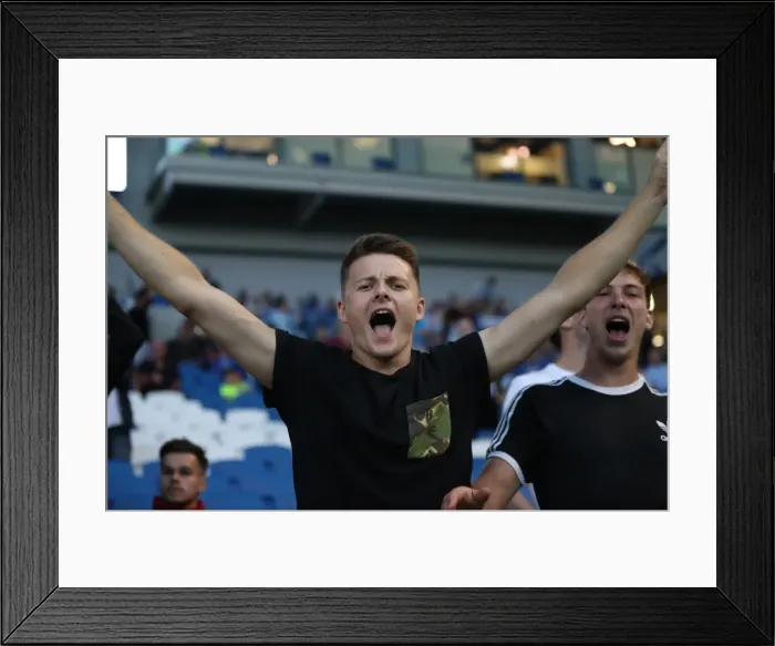 Framed Print : Brighton and Hove Albion Fans Ecstatically Celebrate Championship Victory over Nottingham Forest (12th August 2016) Framed Print : Brighton and Hove Albion Fans Ecstatically Celebrate Championship Victory over Nottingham Forest (12th August 2016)