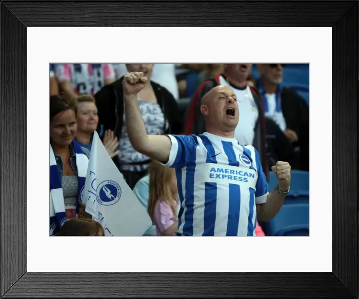 Framed Print : Brighton and Hove Albion Fans Go Wild: EFL Sky Bet Championship Victory over Nottingham Forest (12th August 2016) Framed Print : Brighton and Hove Albion Fans Go Wild: EFL Sky Bet Championship Victory over Nottingham Forest (12th August 2016)
