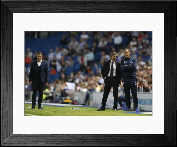 Framed Print : Chris Hughton and Colin Calderwood Leading the Charge: Brighton and Hove Albion vs. Nottingham Forest, EFL Sky Bet Championship (12th August 2016) Framed Print : Chris Hughton and Colin Calderwood Leading the Charge: Brighton and Hove Albion vs. Nottingham Forest, EFL Sky Bet Championship (12th August 2016)