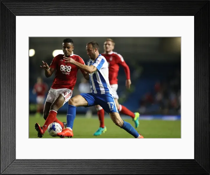 Framed Print : Glenn Murray Scores: Brighton & Hove Albion vs. Nottingham Forest in EFL Sky Bet Championship (12Aug16) Framed Print : Glenn Murray Scores: Brighton & Hove Albion vs. Nottingham Forest in EFL Sky Bet Championship (12Aug16)
