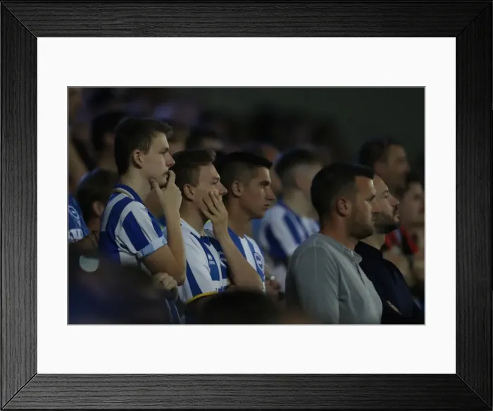 Framed Print : Electric Atmosphere: Brighton and Hove Albion vs. Nottingham Forest (12Aug16) Framed Print : Electric Atmosphere: Brighton and Hove Albion vs. Nottingham Forest (12Aug16)