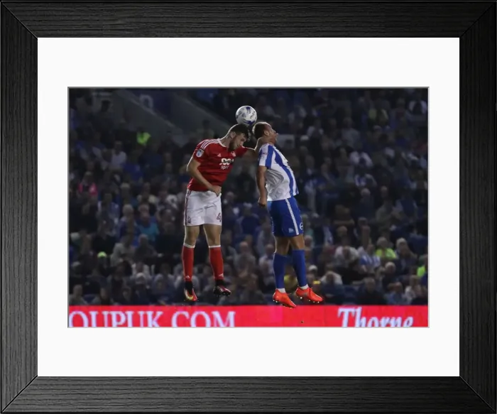 Framed Print : Dale Stephens in Action: Brighton & Hove Albion vs. Nottingham Forest, EFL Sky Bet Championship (August 12, 2016)