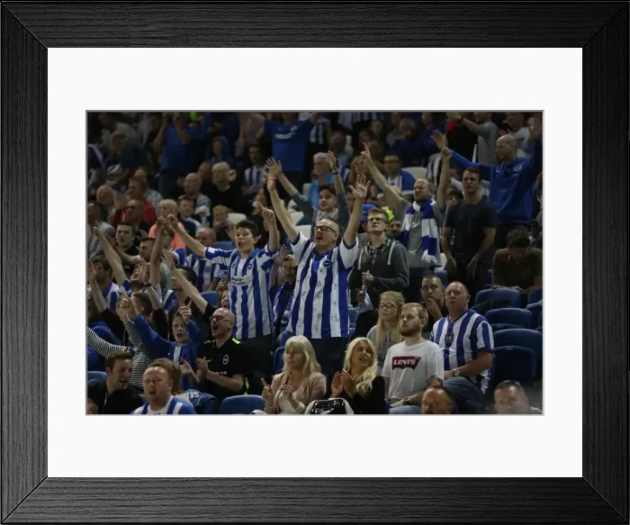 Framed Print : Brighton and Hove Albion Fans Celebrate EFL Sky Bet Championship Victory over Nottingham Forest (12th August 2016) Framed Print : Brighton and Hove Albion Fans Celebrate EFL Sky Bet Championship Victory over Nottingham Forest (12th August 2016)