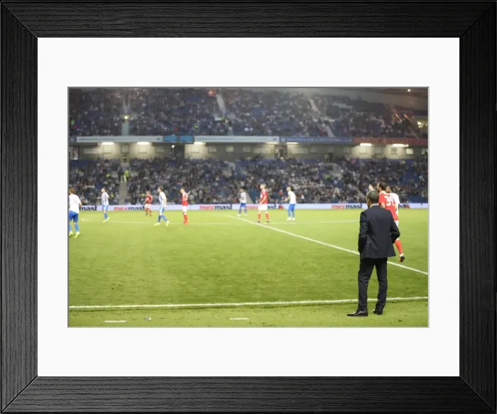 Framed Print : Chris Hughton Watching Brighton and Hove Albion vs. Nottingham Forest EFL Championship Match, August 12, 2016 Framed Print : Chris Hughton Watching Brighton and Hove Albion vs. Nottingham Forest EFL Championship Match, August 12, 2016
