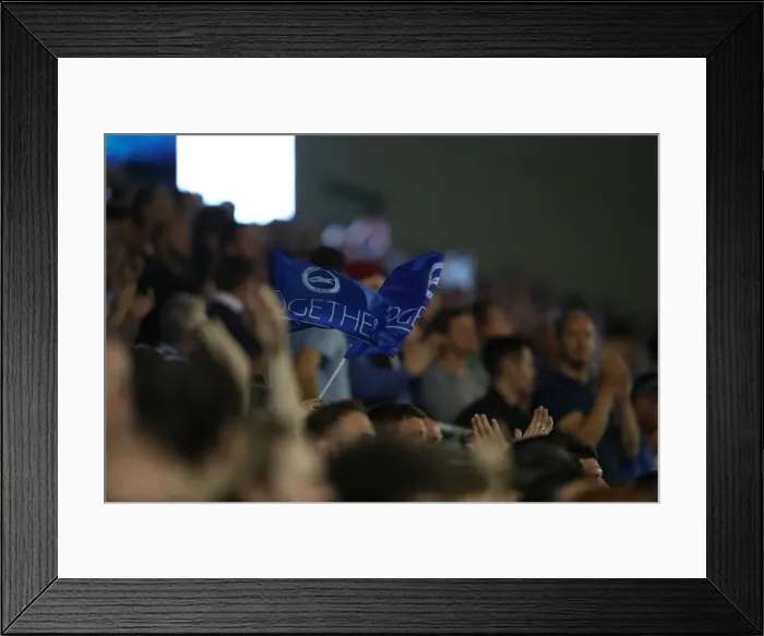 Framed Print : United in Support: Brighton & Hove Albion vs. Nottingham Forest (12Aug16) - Fans Wave Together Flag at American Express Community Stadium Framed Print : United in Support: Brighton & Hove Albion vs. Nottingham Forest (12Aug16) - Fans Wave Together Flag at American Express Community Stadium