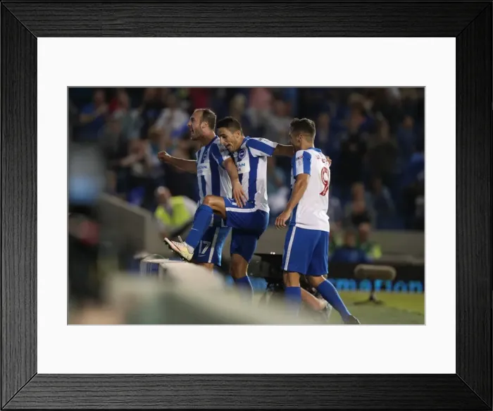 Framed Print : Brighton & Hove Albion's Glenn Murray Scores the Second Goal Against Nottingham Forest in EFL Sky Bet Championship Match, August 12, 2016 Framed Print : Brighton & Hove Albion's Glenn Murray Scores the Second Goal Against Nottingham Forest in EFL Sky Bet Championship Match, August 12, 2016