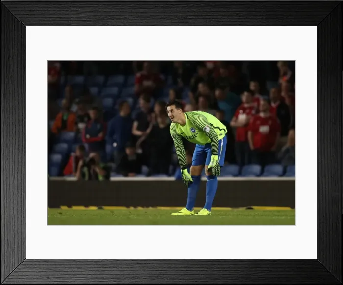 Framed Print : Brighton's Defender Dunk Dives in as Goalkeeper: Nottingham Forest vs. Brighton & Hove Albion, EFL Sky Bet Championship (12th August 2016) Framed Print : Brighton's Defender Dunk Dives in as Goalkeeper: Nottingham Forest vs. Brighton & Hove Albion, EFL Sky Bet Championship (12th August 2016)
