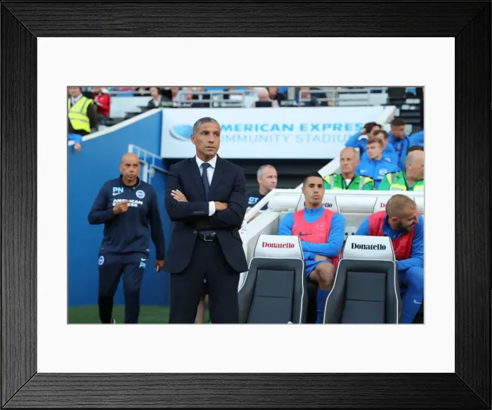 Framed Print : Brighton and Hove Albion vs Rotherham United: EFL Sky Bet Championship Showdown at American Express Community Stadium (August 16, 2016) Framed Print : Brighton and Hove Albion vs Rotherham United: EFL Sky Bet Championship Showdown at American Express Community Stadium (August 16, 2016)