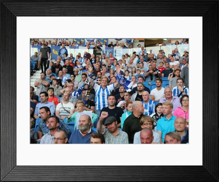 Framed Print : Championship Showdown: Brighton and Hove Albion vs Rotherham United at American Express Community Stadium (August 16, 2016)