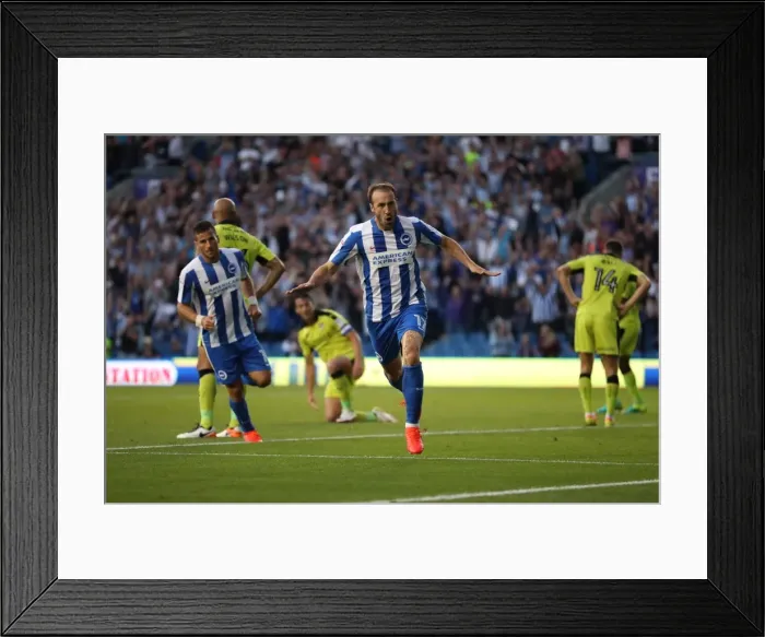 Framed Print : Brighton and Hove Albion vs Rotherham United: Clash in the Sky Bet Championship (August 16, 2016) Framed Print : Brighton and Hove Albion vs Rotherham United: Clash in the Sky Bet Championship (August 16, 2016)