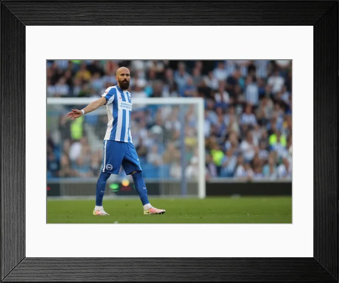 Framed Print : Brighton and Hove Albion vs Rotherham United: EFL Sky Bet Championship Showdown at American Express Community Stadium (August 16, 2016) Framed Print : Brighton and Hove Albion vs Rotherham United: EFL Sky Bet Championship Showdown at American Express Community Stadium (August 16, 2016)