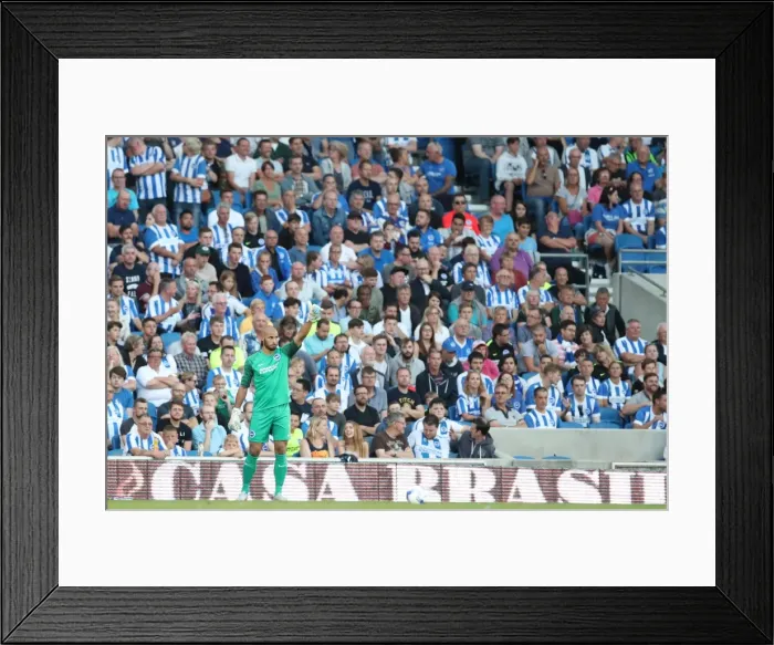 Framed Print : Brighton and Hove Albion vs Rotherham United: EFL Sky Bet Championship Showdown at American Express Community Stadium (August 16, 2016) Framed Print : Brighton and Hove Albion vs Rotherham United: EFL Sky Bet Championship Showdown at American Express Community Stadium (August 16, 2016)