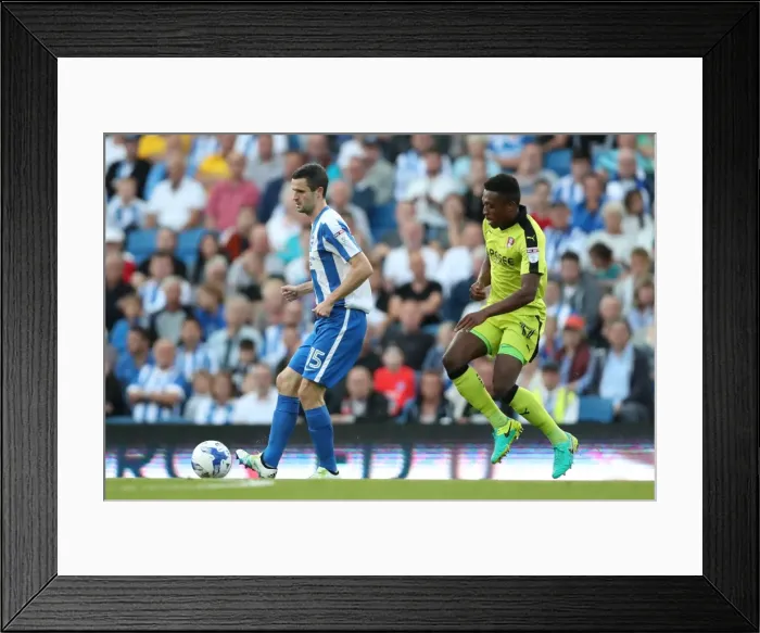 Framed Print : Brighton and Hove Albion vs. Rotherham United: EFL Sky Bet Championship Showdown at American Express Community Stadium (August 16, 2016) Framed Print : Brighton and Hove Albion vs. Rotherham United: EFL Sky Bet Championship Showdown at American Express Community Stadium (August 16, 2016)