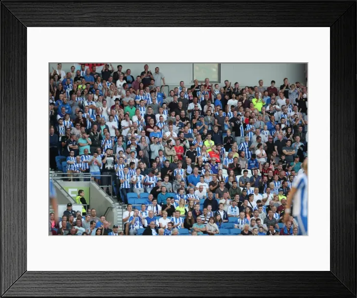 Framed Print : Brighton and Hove Albion vs Rotherham United: EFL Sky Bet Championship Clash (16th August 2016) Framed Print : Brighton and Hove Albion vs Rotherham United: EFL Sky Bet Championship Clash (16th August 2016)