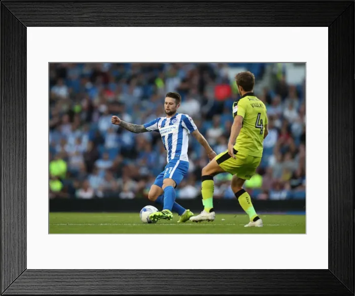 Framed Print : Brighton and Hove Albion vs. Rotherham United: EFL Sky Bet Championship Showdown at American Express Community Stadium (August 16, 2016)