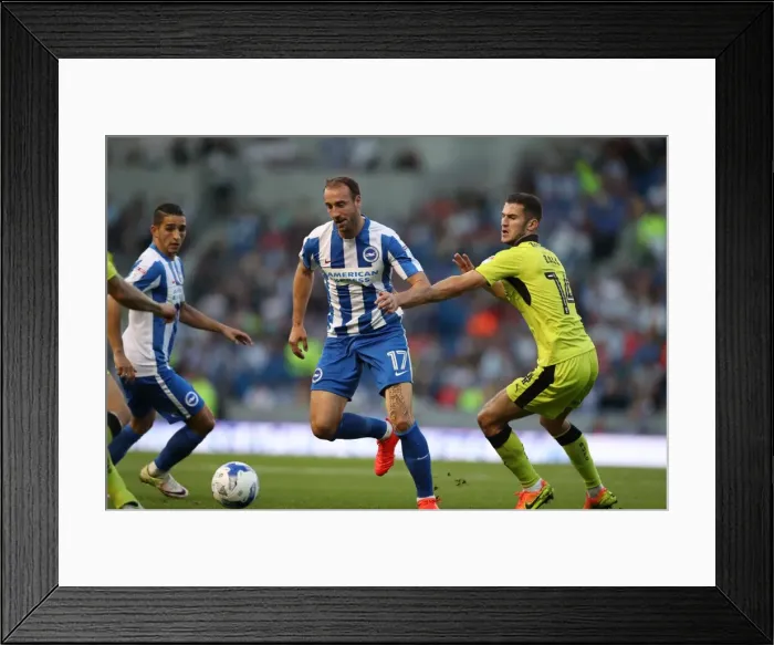 Framed Print : Brighton and Hove Albion vs Rotherham United: EFL Sky Bet Championship Showdown at American Express Community Stadium (August 16, 2016) Framed Print : Brighton and Hove Albion vs Rotherham United: EFL Sky Bet Championship Showdown at American Express Community Stadium (August 16, 2016)