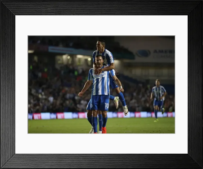 Framed Print : Brighton and Hove Albion vs Rotherham United: EFL Sky Bet Championship Showdown at American Express Community Stadium (August 16, 2016) Framed Print : Brighton and Hove Albion vs Rotherham United: EFL Sky Bet Championship Showdown at American Express Community Stadium (August 16, 2016)