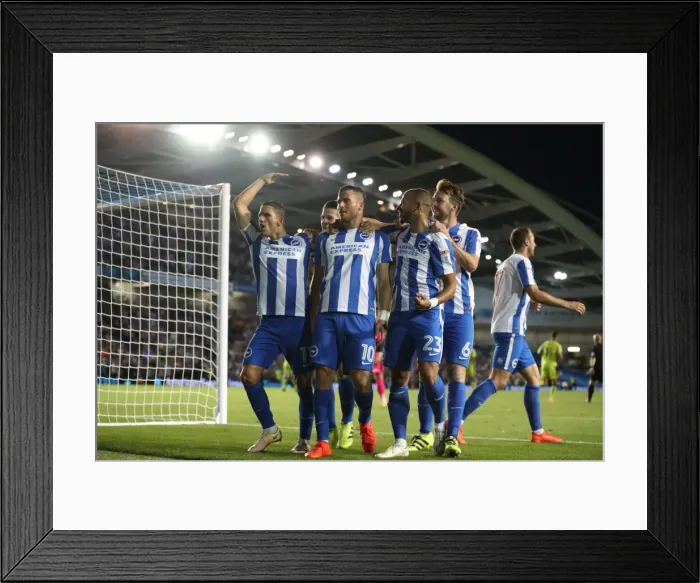 Framed Print : Brighton and Hove Albion vs Rotherham United: Sky Bet Championship Clash (August 16, 2016) Framed Print : Brighton and Hove Albion vs Rotherham United: Sky Bet Championship Clash (August 16, 2016)