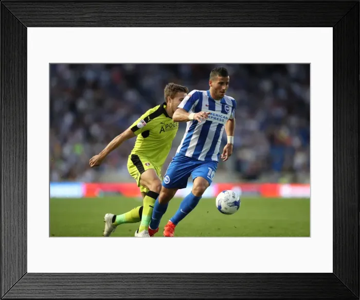 Framed Print : Brighton and Hove Albion vs Rotherham United: EFL Sky Bet Championship Showdown at American Express Community Stadium (August 16, 2016) Framed Print : Brighton and Hove Albion vs Rotherham United: EFL Sky Bet Championship Showdown at American Express Community Stadium (August 16, 2016)