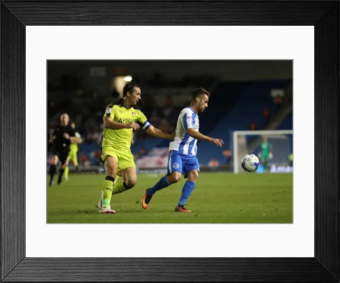 Framed Print : Brighton and Hove Albion vs Rotherham United: EFL Sky Bet Championship Showdown at American Express Community Stadium (August 16, 2016)