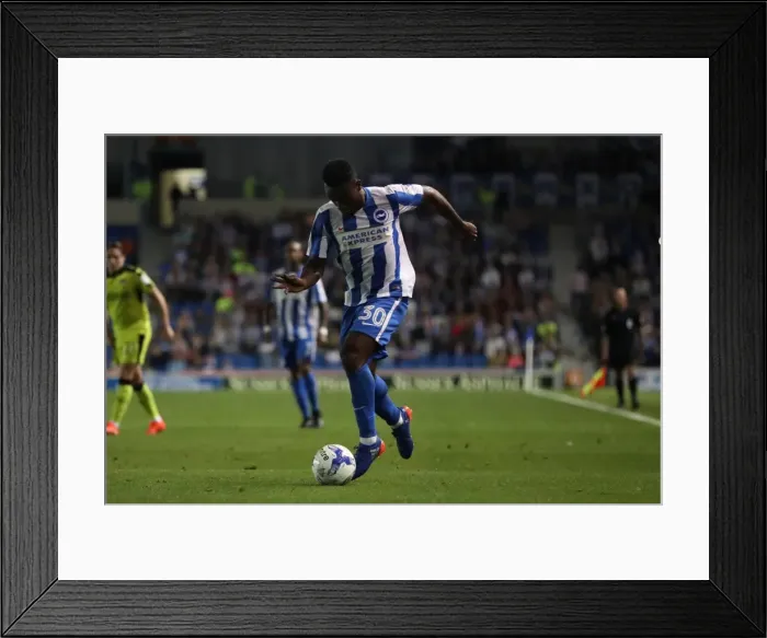 Framed Print : Brighton and Hove Albion vs Rotherham United: EFL Sky Bet Championship Showdown at American Express Community Stadium (August 16, 2016) Framed Print : Brighton and Hove Albion vs Rotherham United: EFL Sky Bet Championship Showdown at American Express Community Stadium (August 16, 2016)