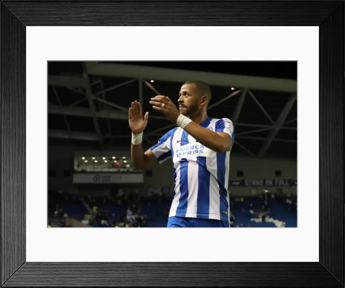 Framed Print : Brighton and Hove Albion vs Rotherham United: EFL Sky Bet Championship Showdown at American Express Community Stadium (August 16, 2016) Framed Print : Brighton and Hove Albion vs Rotherham United: EFL Sky Bet Championship Showdown at American Express Community Stadium (August 16, 2016)
